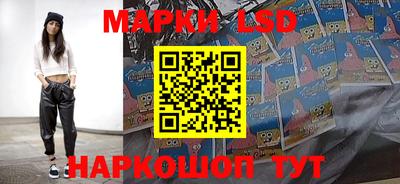 стафф Новозыбков