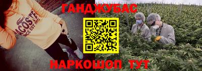 стафф Новозыбков
