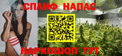 mdpv Новодвинск