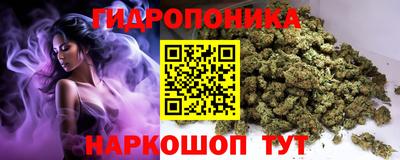 стафф Новозыбков