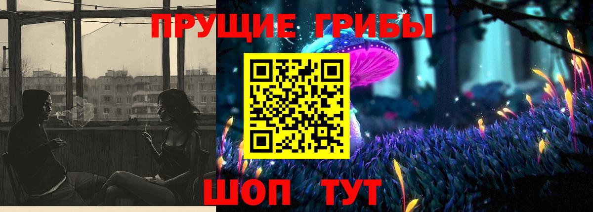 Хасавюрт  Галлюциногенные грибы Psilocybine cubensis  Галлюциногенные грибы прущие грибы  Вход с VPN 